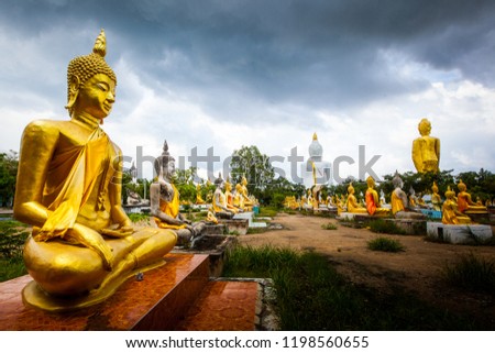 The Buddha statue of the temple in Suphanburi province called Wat Phai Rong Wua.