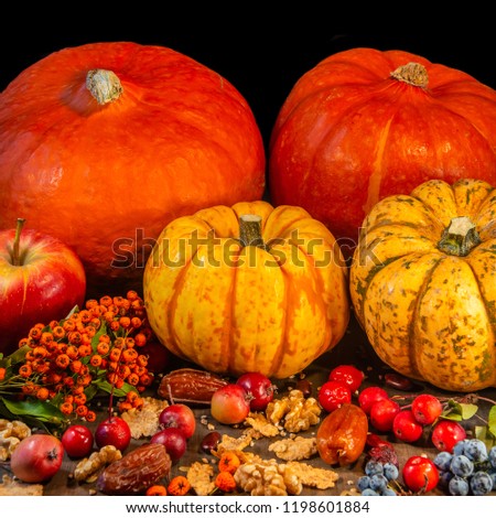 Traditional German Autumn pumpkins, berries and nuts as still-life, Autumn theme