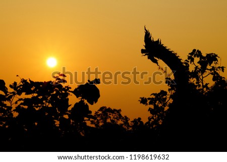 Serpent Mekong river sun rise