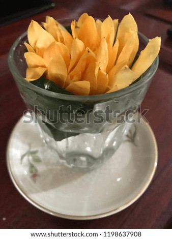 Beautiful champak flower in simple vase
