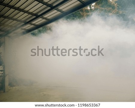 Smoke from a mosquito sprayer.