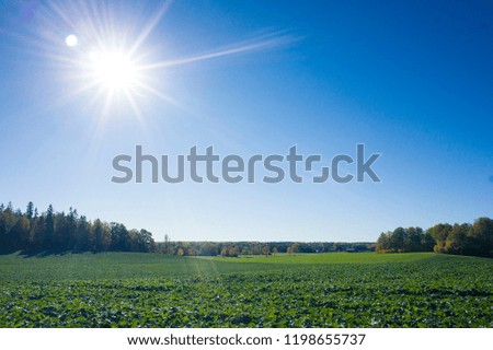 Beautiful autumn day in Sweden Scandinavia. Sun, fields and blue sky. Calm, peaceful and happy image.