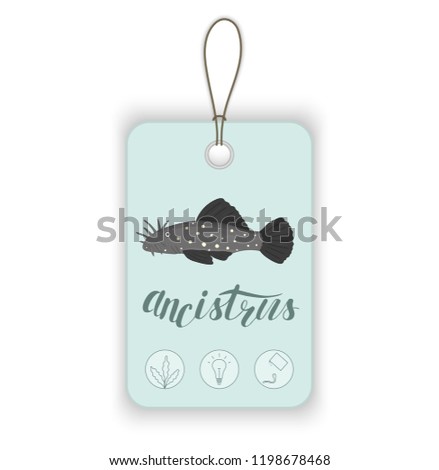 Vector price tag with aquarium fish and lettering. Illustration for pet shops. Aquarium fish names and icons. Cute ancistrus picture