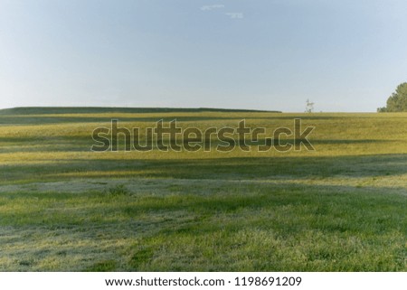 Nature with magic sunrays, sunshine, light and green grass, meadow. Photo use in idea design for golf, fresh environment