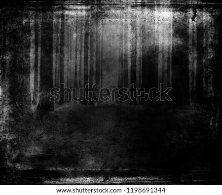 Dark scary forest wallpaper, halloween concept