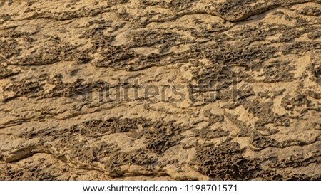 Background texture of sandstone rocks detail, found along the French Opal coast along north sea, selective focus