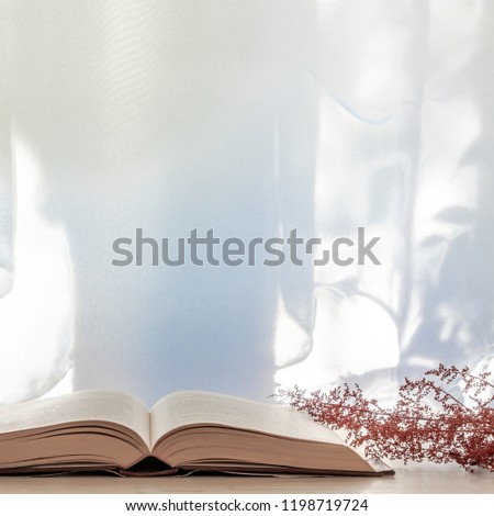 Photo of a desk with an open book and dried red grass on a background of sun-lit curtains. Copy space