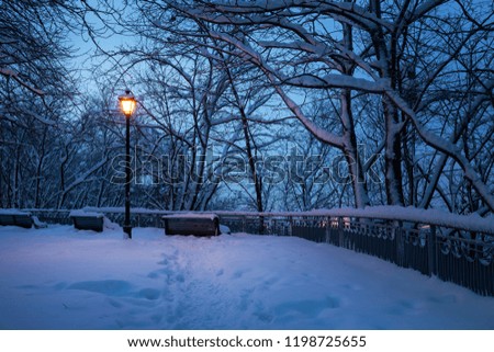 Winter city park and lantern at dusk