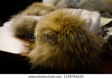 Fur chapka on a wooden table