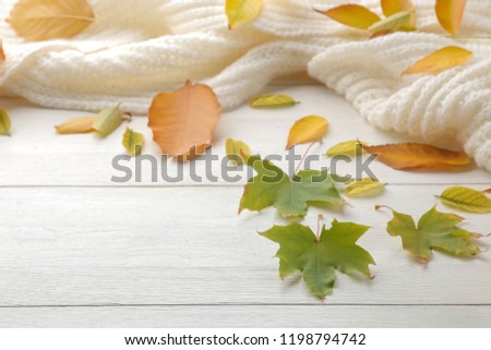 Autumn composition with yellow leaves and a warm scarf. autumn time. on a white wooden table.