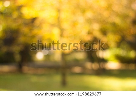 Autumn trees in the public park out of focus, natural bokeh background 