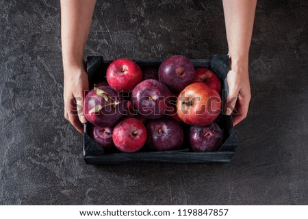 Woman holding the wooden box with fresh ripe apples, black textured table