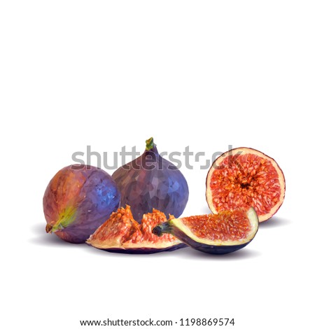 Fresh, nutritious, tasty figs. Delicious and healthy dessert. Elements for label design. Vector illustration. Fruits ingredients in triangulation technique. Figs low poly. 