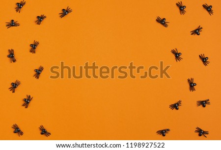 background for halloween, spiders on an orange table, top view, lots of free space, flat lay