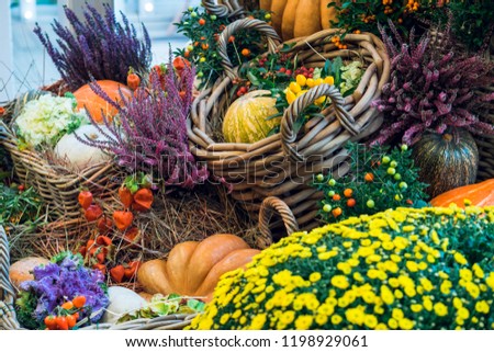 Autumn decorative still life: wicker baskets with a harvest of pumpkins and flowers