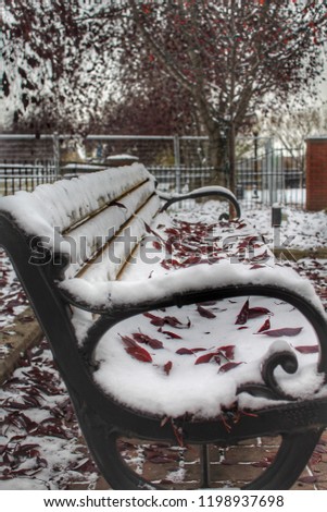 Leaves On Snow On A Bench