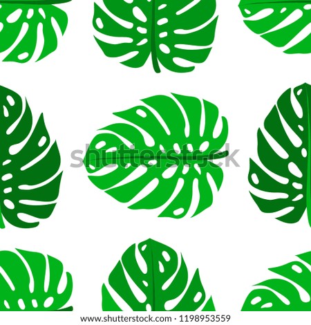 Seamless pattern of leaves monstera. Tropical leaves of palm tree. Vector background.