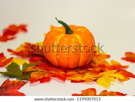 Orange pumpkin with leaves around it on a white background.