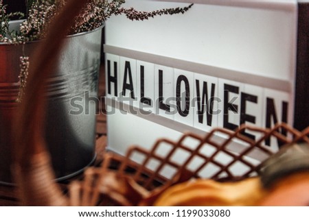 Halloween decoration. Wooden background.