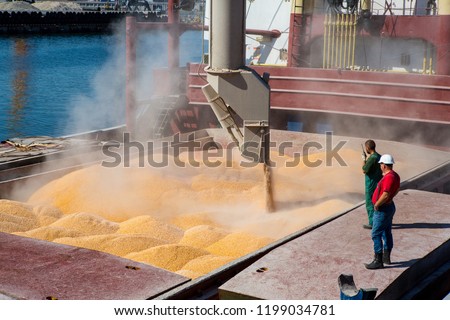 Corn in bulk carrier hold. Casting hold of corn. Elevator crane loads ship bulk carrier with corn Royalty-Free Stock Photo #1199034781