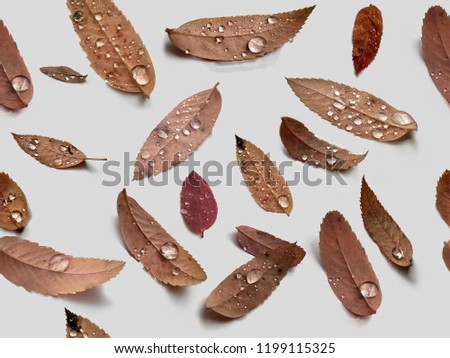 Full-color seamless texture of autumn leaves with dew drops