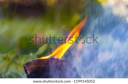 A beautiful horizontal texture of a burning fire and brown wood on a blurred blue and green plants background