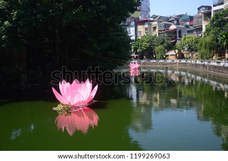 Beautiful lotus flower at Ho Giam lake, Hanoi.