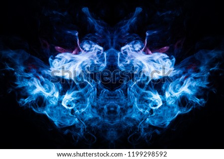 Cloud of blue, red smoke  in the form of a skull, monster, dragon  on a black isolated background. Background from the smoke of vape. Mocap for cool t-shirts