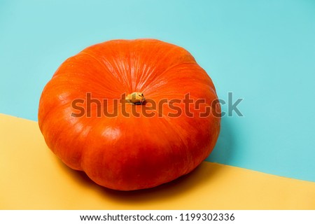 Minimalism and colorful concept. Autumn, Halloween and pumpkin. Close up