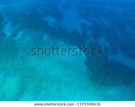 Coral reef sea Blue