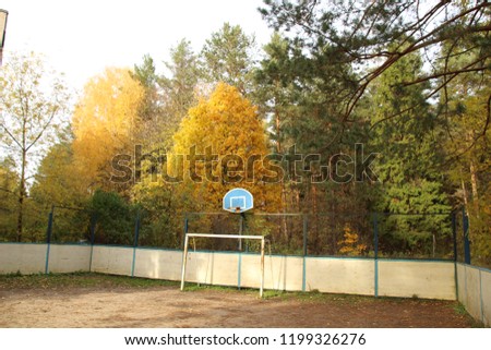 Basketball and foolball box among golden autumn trees in the indian summer forest in nice sunny day