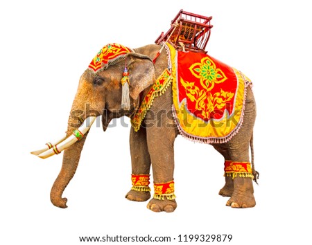 Elephant has beautiful and large isolated on white background. colorful painted elephant head ,Decorated elephants and tie wooden chairs in the back  in Thailand.