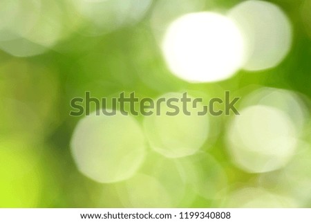Abstract nature green  background texture .