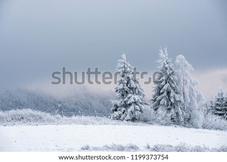 Snow covered frozen trees in the mountains. Christmas time, winter holiday concept