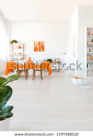 Plant in spacious white dining room interior with chairs at table and poster on the wall. Real photo