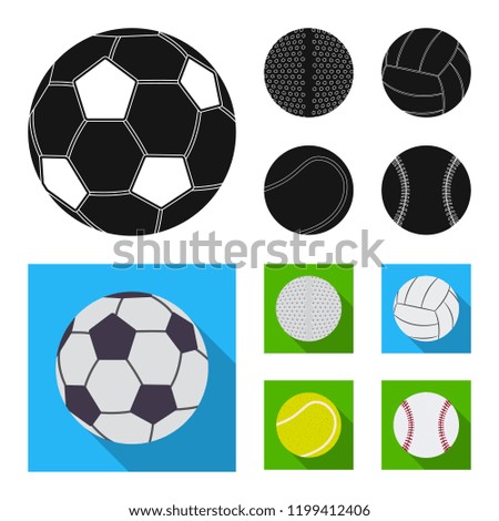 Isolated object of sport and ball sign. Collection of sport and athletic vector icon for stock.