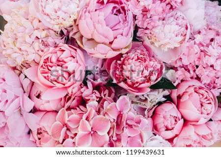 Peony and hydrangea pink flowers background Royalty-Free Stock Photo #1199439631