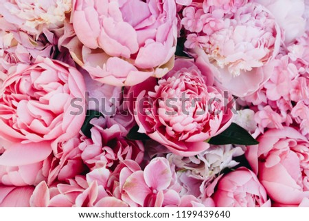 Peony and hydrangea pink flowers background Royalty-Free Stock Photo #1199439640