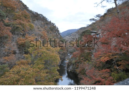 Beautiful Shosenkyo valley in Japan Autumn