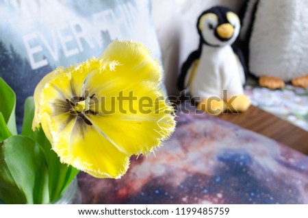 Blooming Tulip against yellow Penguin