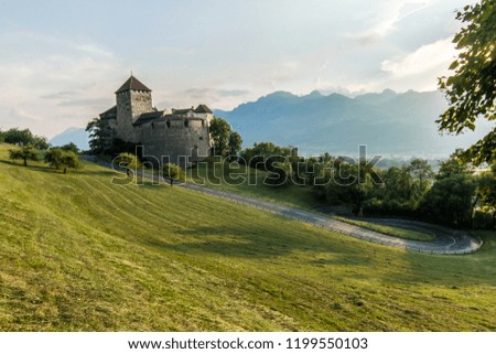 A Vaduz castle from Liechtenstein with beautiful Alps on background. A good view from green grass field.