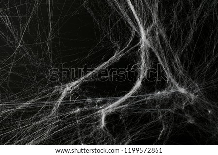 Halloween creepy cobweb spiders web with a black background