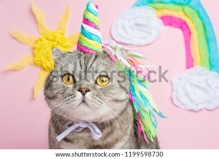 Cat unicorn on a pink background in a suit. Rainbow horn, cute kitten look, skill, tenderness, love, fairytale and love for cats