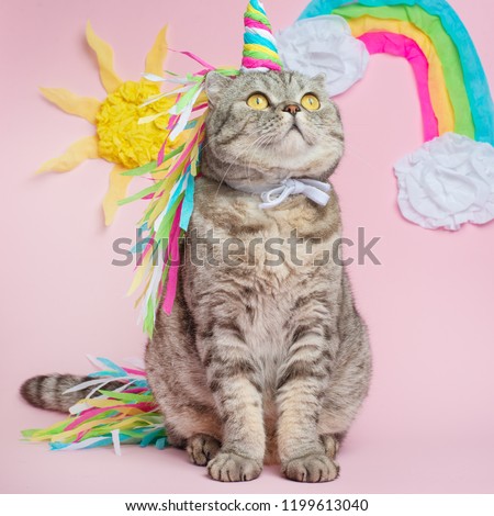 Cat unicorn on a pink background in a suit. Rainbow horn, cute kitten look, skill, tenderness, love, fairytale and love for cats