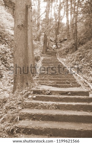 A stone pavement staircase with a mountain of gyoudouzan in Ashikaga, Tochigi Prefecture.