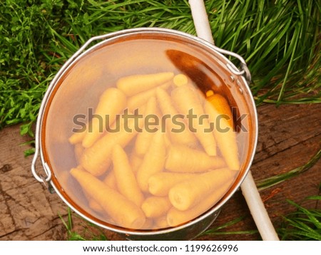 carrots in the bucket