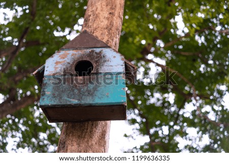 Colorful squirrel house or birdhouse on a tree