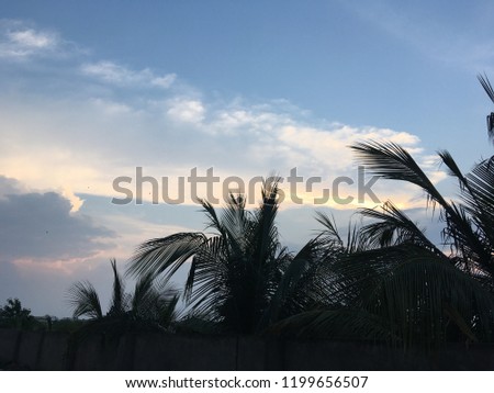 Beautiful cloudy sky with coconut trees