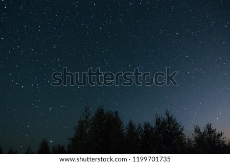 Starry night sky on a background of dark forest