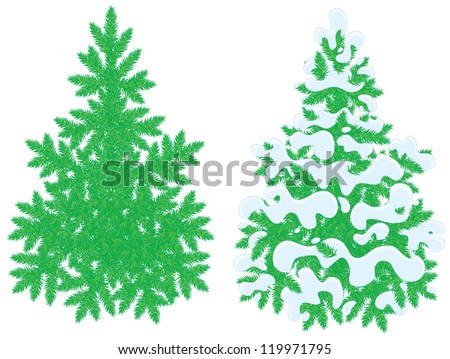 Green fir-trees
